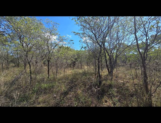 8.80HA VACANT LAND FOR SALE IN BELA BELA RURAL